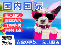 黑河瑷珲机场快运国际宠物托运 【国